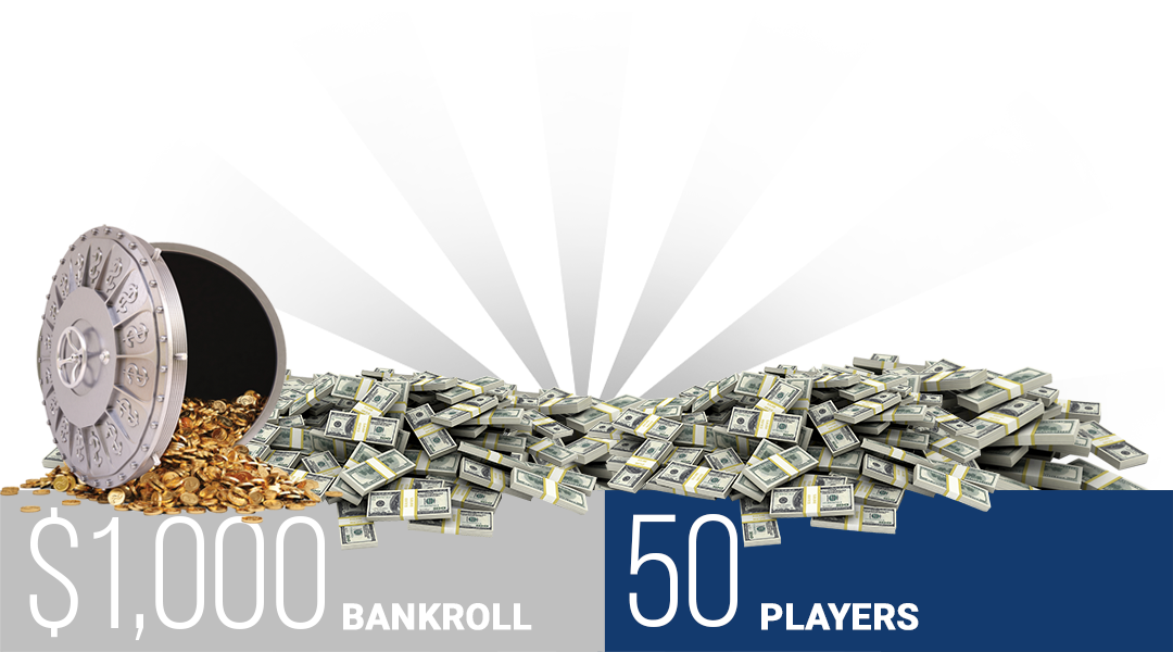 What does it mean to bankroll something